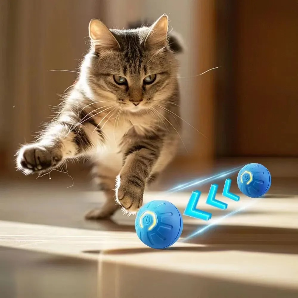 New 1pc Automatic Moving Dog T - Automatic Moving Dog Ball 评论和价格