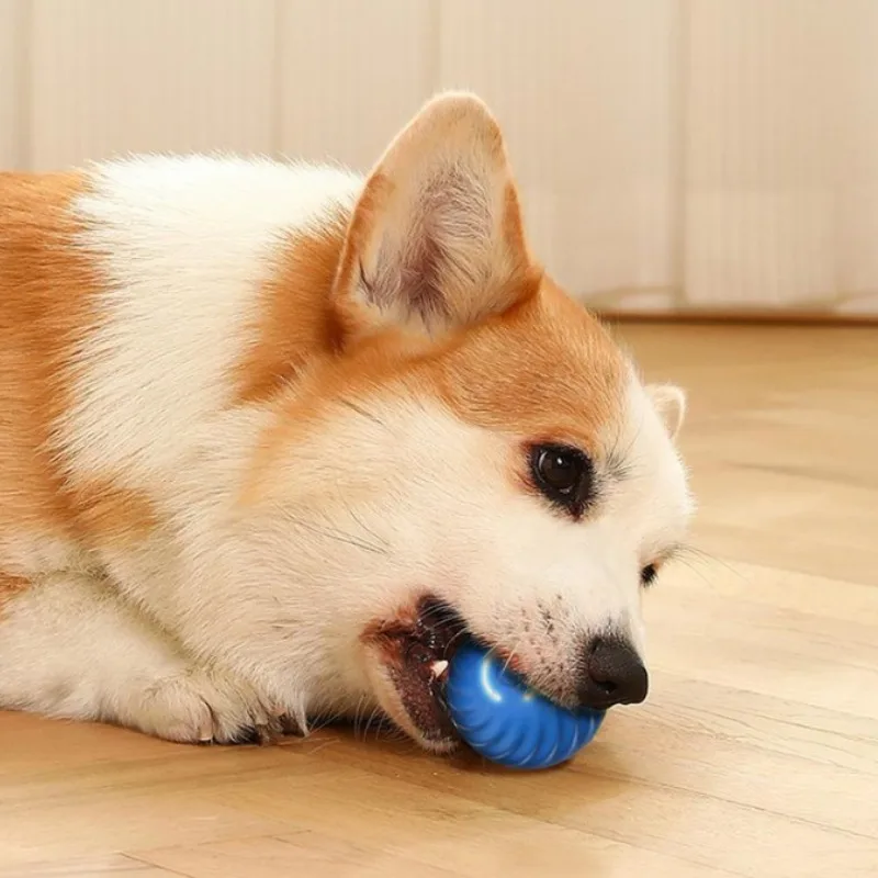 SS Pet Toy Ball Automatic Movi - Automatic Moving Dog Ball 评论和价格
