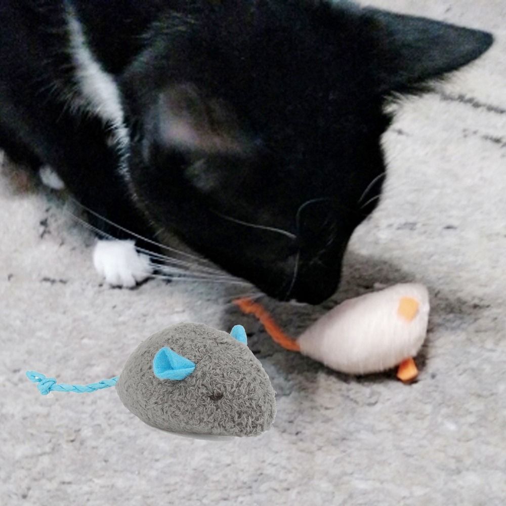 2pcs Funny Plush Soft Interact - Catnip Interactive Plush Mouse 评论和价格
