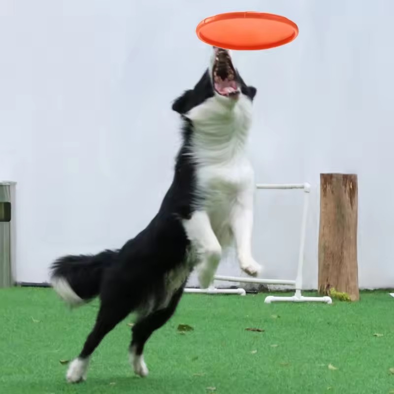 Interactive Silicone Flying Sa - Flying Disc Dog Training Toy 评论和价格