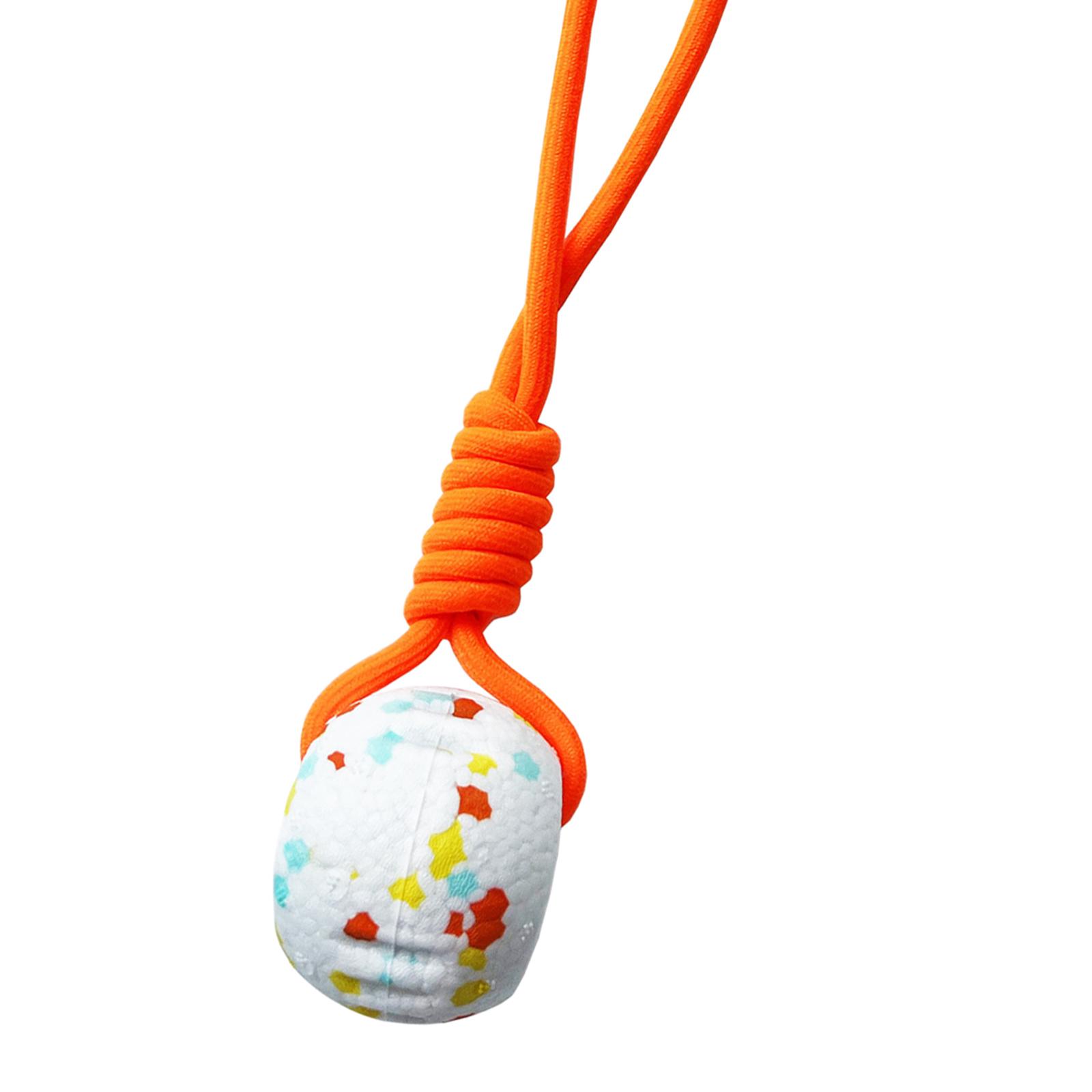 Cotton Rope Dog Ball Toy for F - Dog Rope Toy Aggressive Chewers 评论和价格