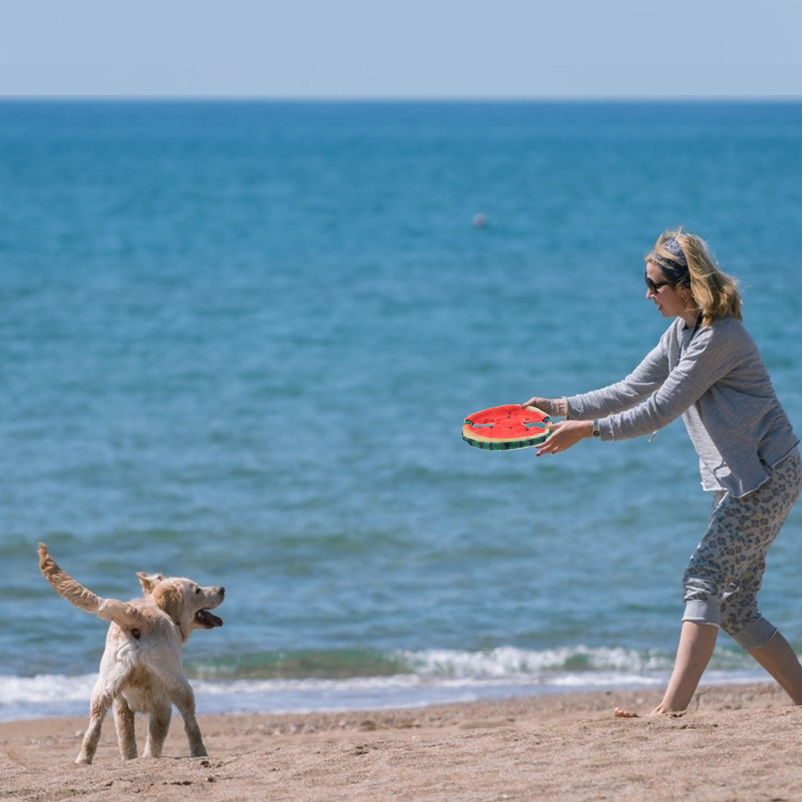 1Pcs Pet Simulated Watermelon  - Flying Disc Dog Training Toy 评论和价格