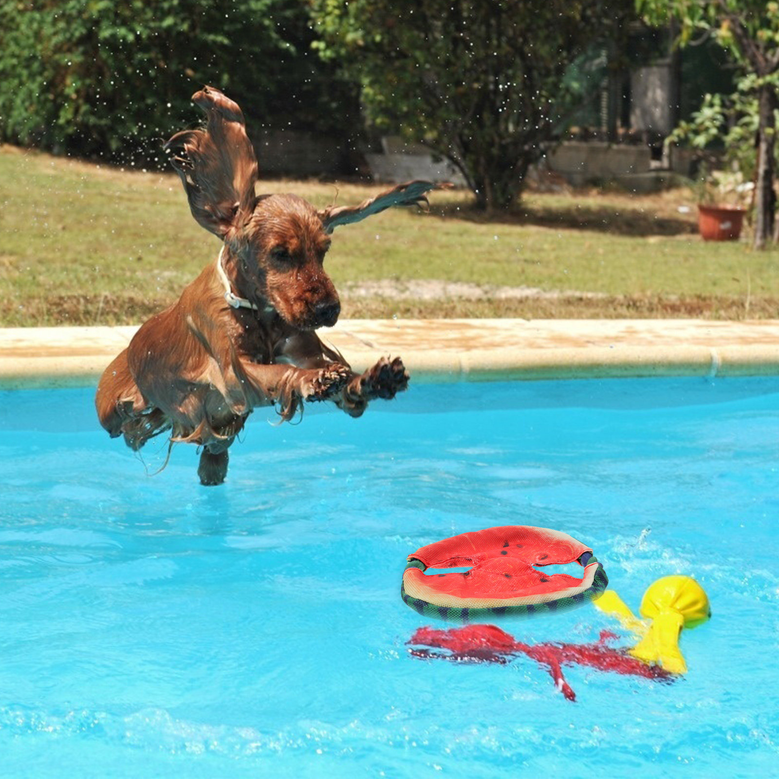 1Pcs Pet Simulated Watermelon  - Flying Disc Dog Training Toy 评论和价格