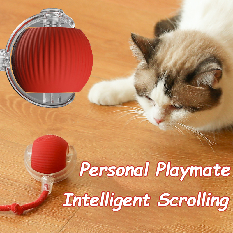 New Cat Interactive Ball Toy A - Automatic Moving Dog Ball 评论和价格